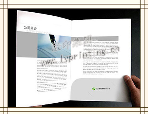 Sleeves Printing Service,China Printing
