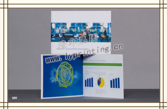 Company Album,Company Brochures Printing