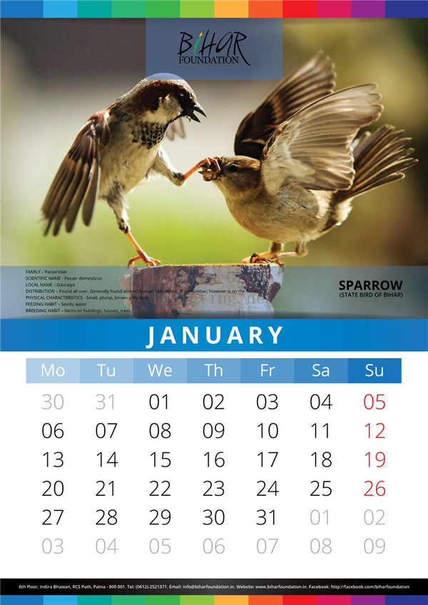 Animals Calendar 2016 Printing,Make Animals Calendar