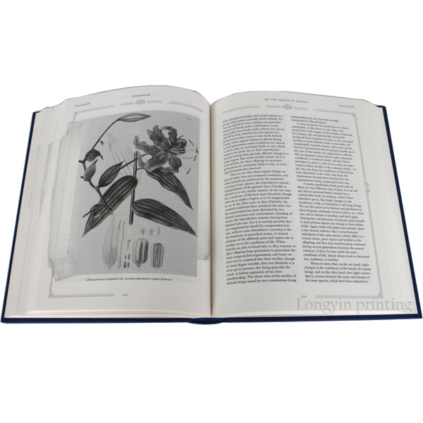 High-grade Hardcover Book Printing,Story Book Printing