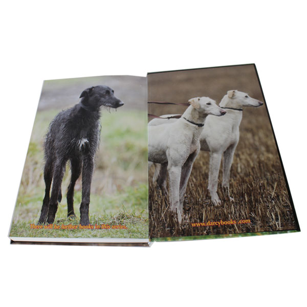 Animal Hardcover Book Printing,Hard Book Printing in China