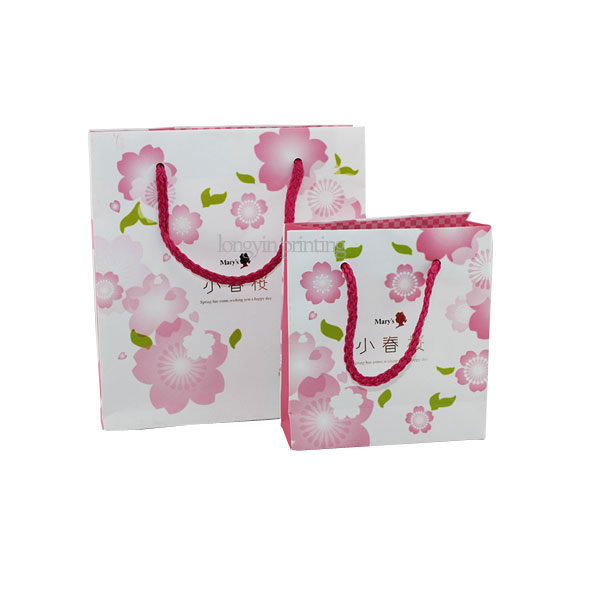 Paper Gift Bag Printing,Souvenir Paper Bag Printing Service
